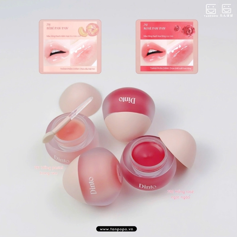 Son tint bóng Dinto Chubby Mocchi Jelly Paw Paw Lip Mask 792 Rosé Paw Paw- 10 g