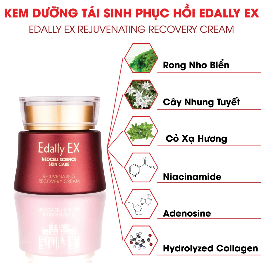 Kem dưỡng ẩm, hỗ trợ làm mờ nếp nhăn, giúp da mịn màng (EDALLY EX REJUVENATING RECOVERY CREAM),Thể tích 50 ml