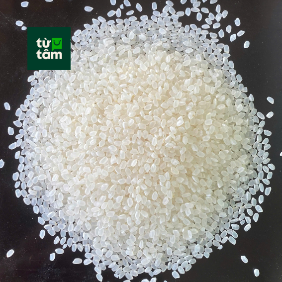 Gạo Nhật Japonica