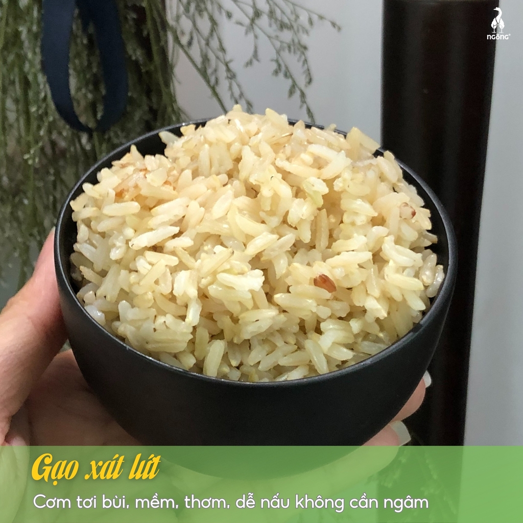 Gạo lứt ST25 hữu cơ ruộng rươi túi 3kg