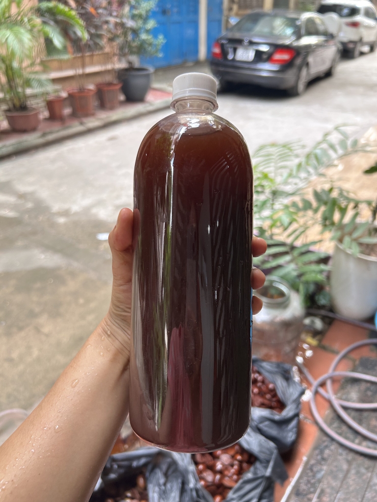 Rượu cau lá trầu 1lit