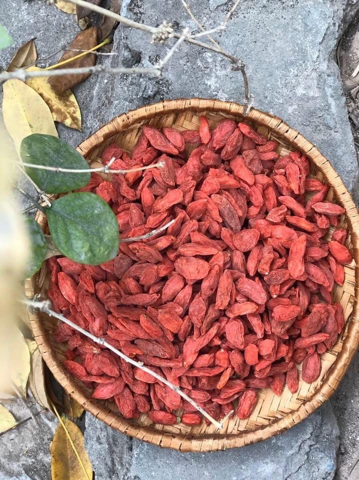 Kỳ tử hữu cơ C'La Vie 170g (34g x 5 gói)