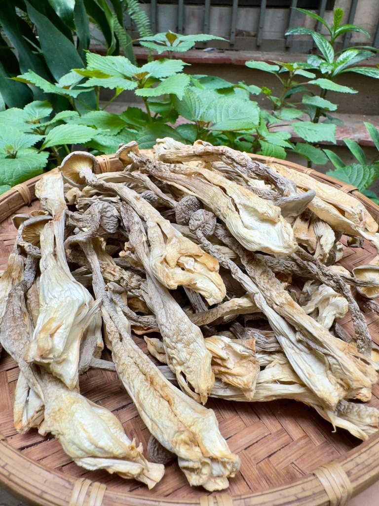 Nấm dược liệu Lộc Nhung gói 200g