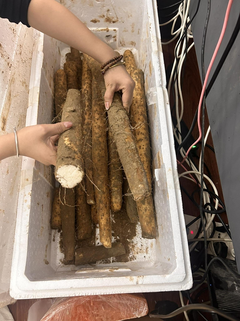 Củ mài tươi (hoài sơn) kg