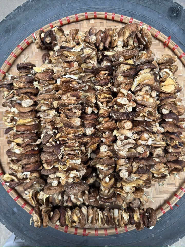 Nấm hương rừng Tây Bắc 500g hàng loại 1