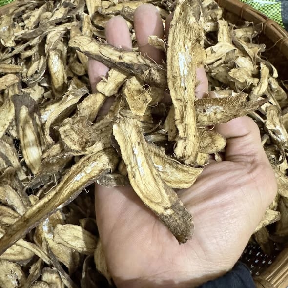 Ngưu bàng khô Vườn Chay 300g