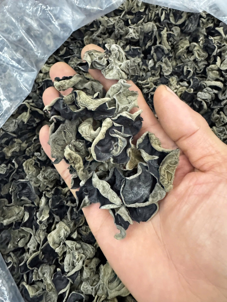 Hắc nhĩ bao tử 250g