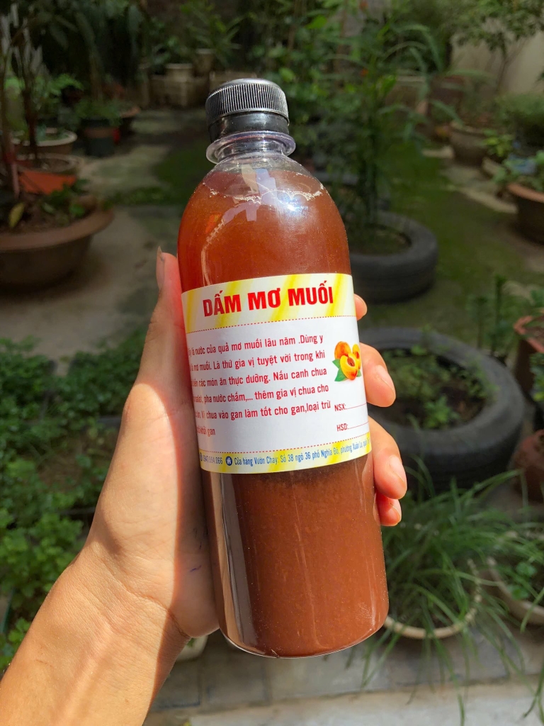 Nước mơ kết thạch nhà làm 500ml (dấm mơ)