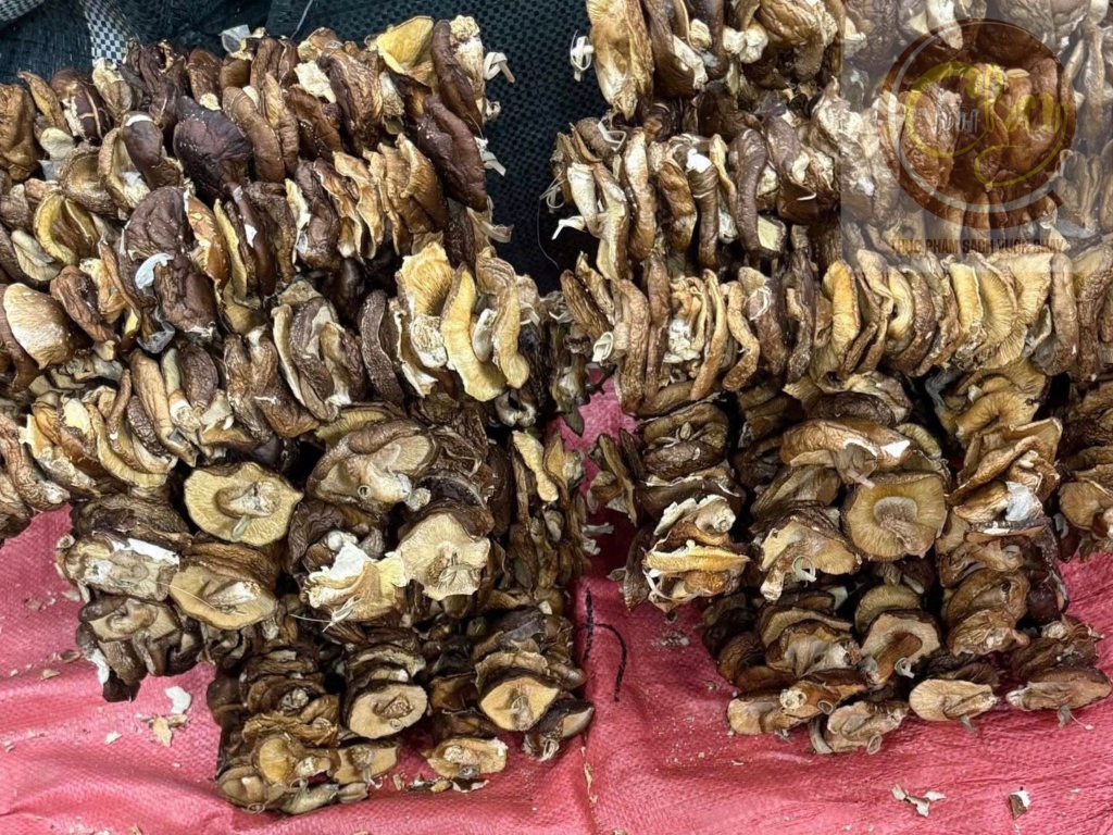 Nấm hương rừng Tây Bắc 500g hàng loại 1