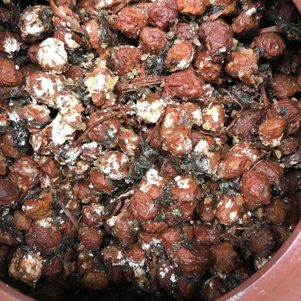 Mơ muối lâu năm kết thạch lọ 200g