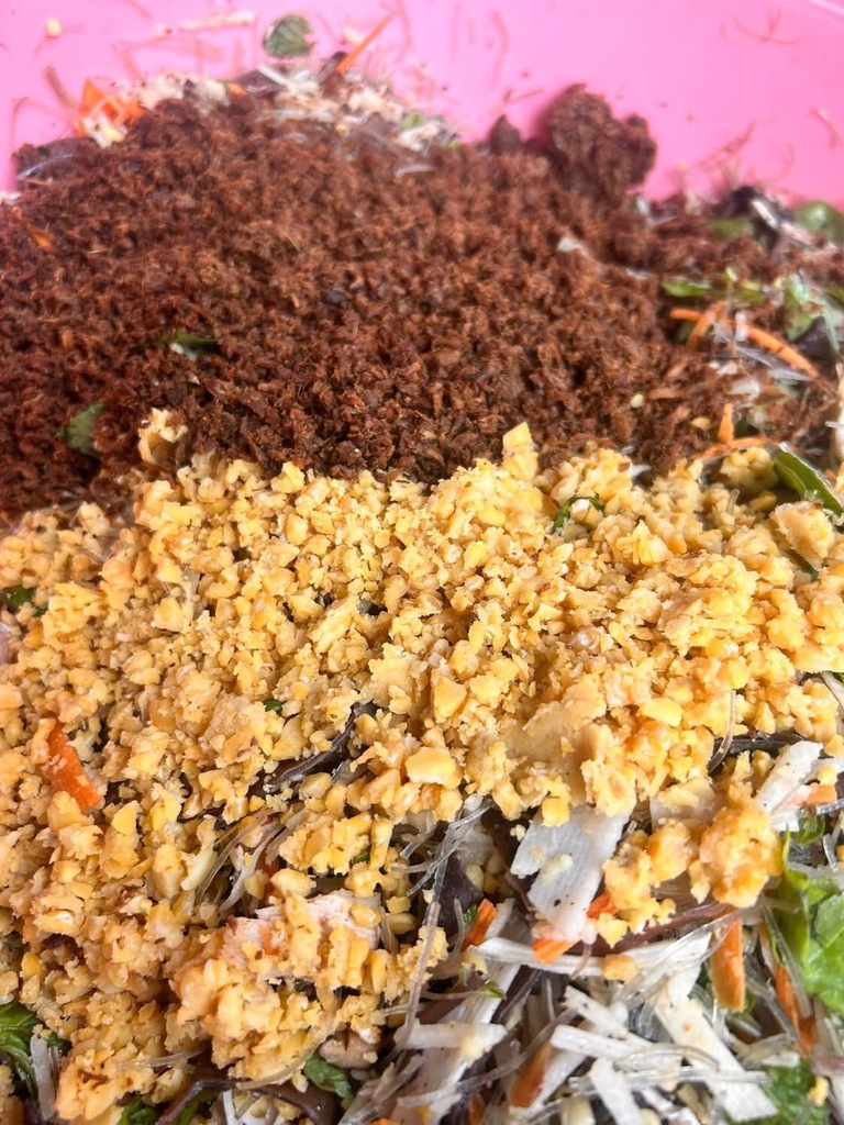 Nem Ngưu Bàng Tempeh hộp 12 chiếc