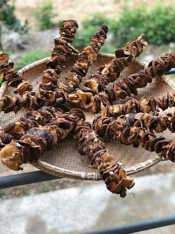 Nấm hương rừng Tây Bắc 500g hàng loại 1