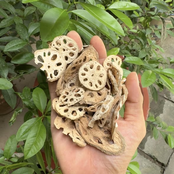 Củ sen hương khô túi 250g