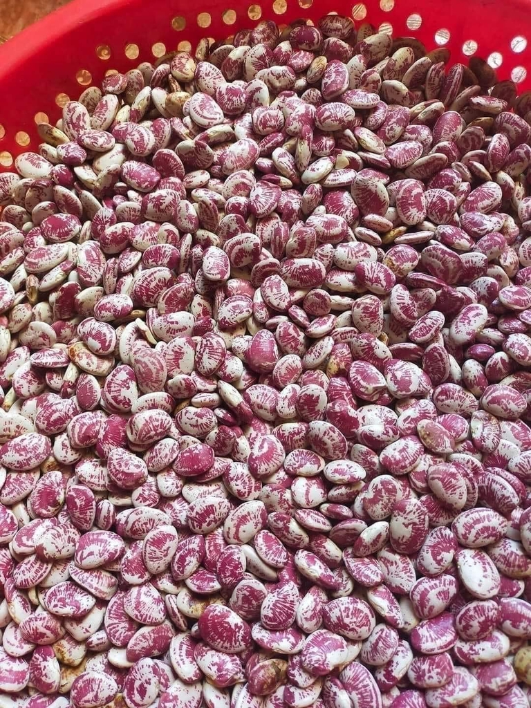 Đậu ngự 500g