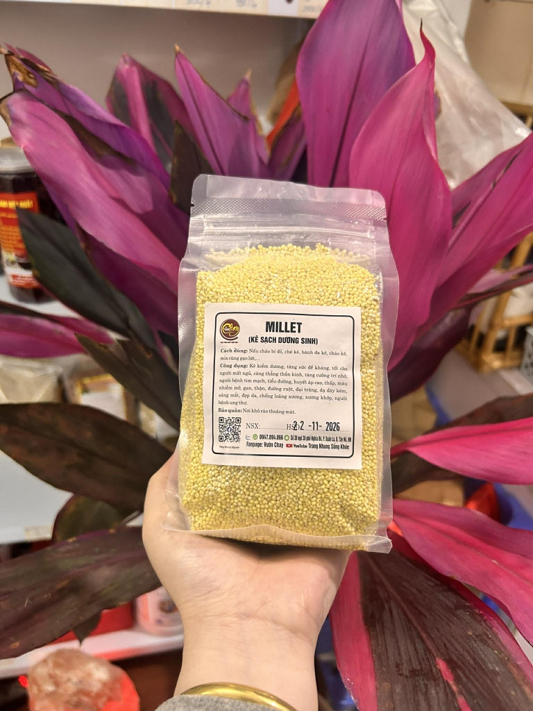 Hạt kê nếp sạch 500g