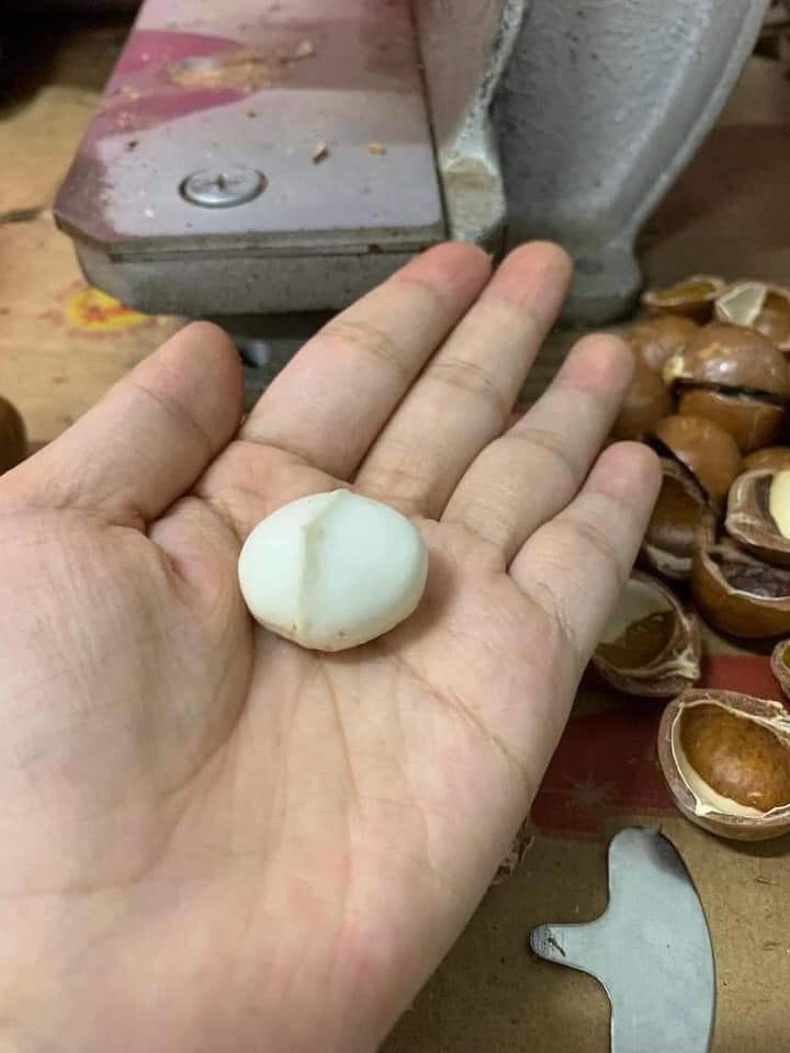 Mắc ca nhân 1/2 500g