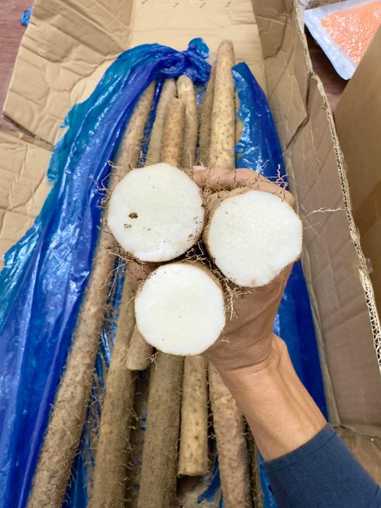 Bột củ mài chín hộp 300g