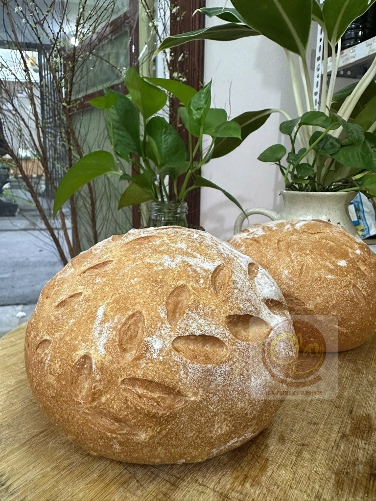 Bánh mì enzyme thanh long ổ 288g