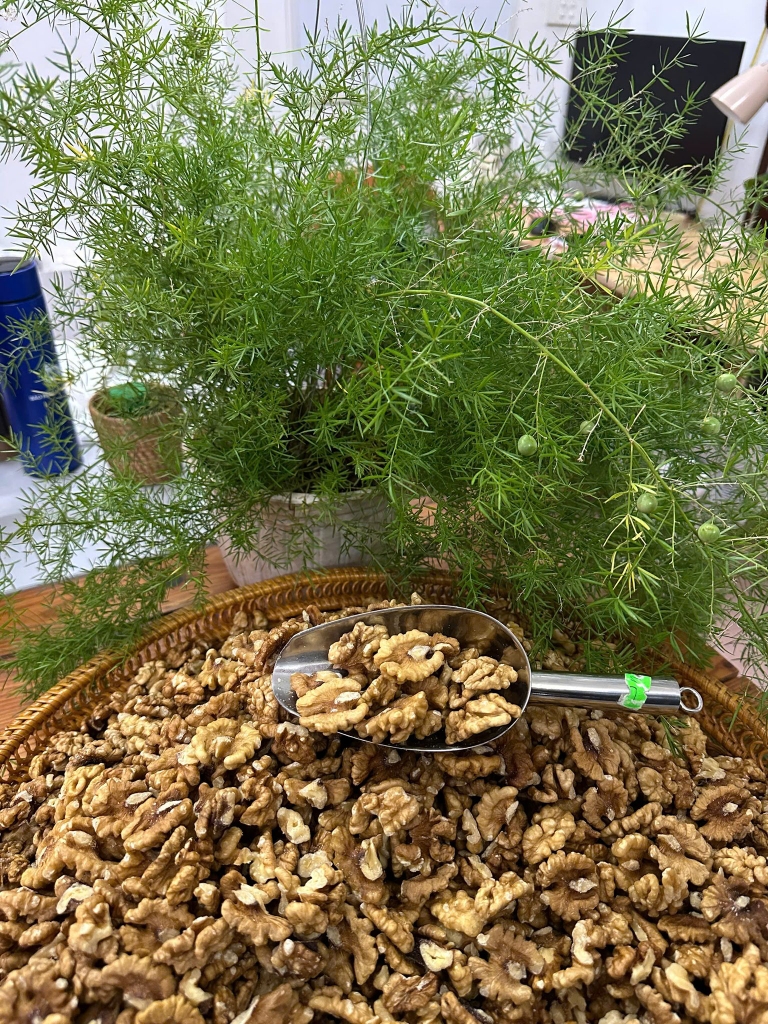 Óc chó nhân Đắc Lăk 500g