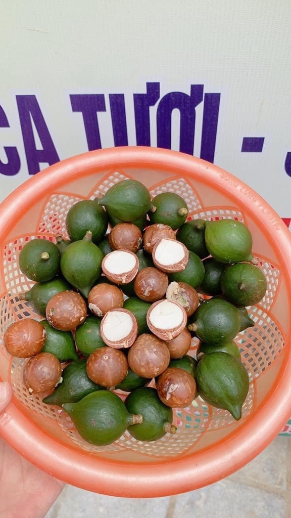 Mắc ca nhân 1/2 500g