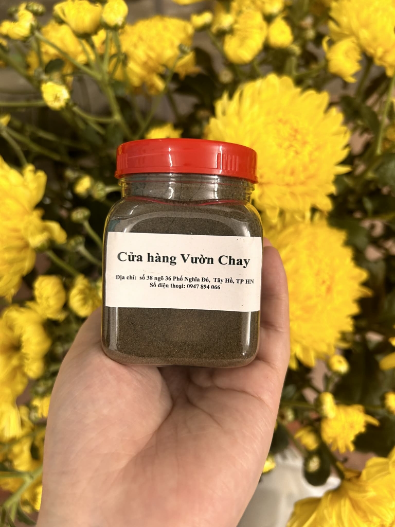 Bột tía tô dưỡng sinh