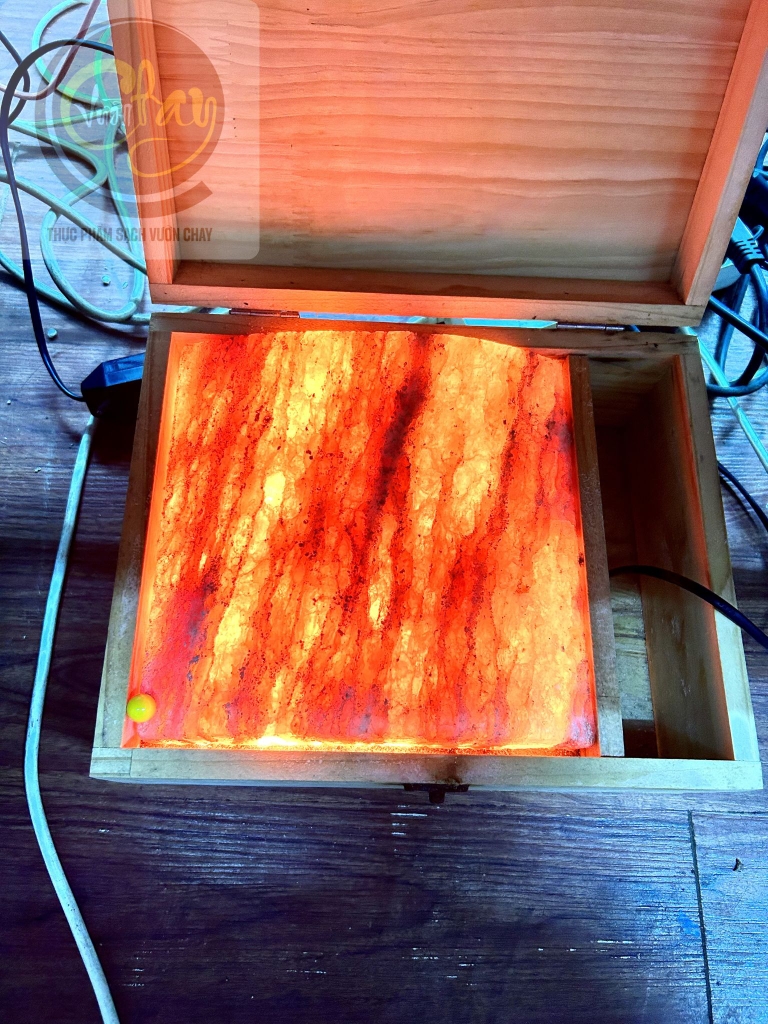 Đèn đá muối ủ chân (cong)