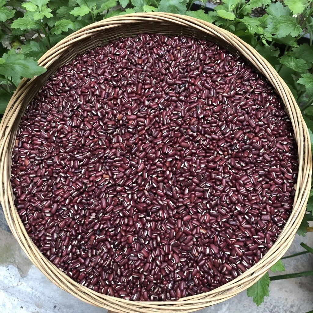 Xích tiểu đậu 500g