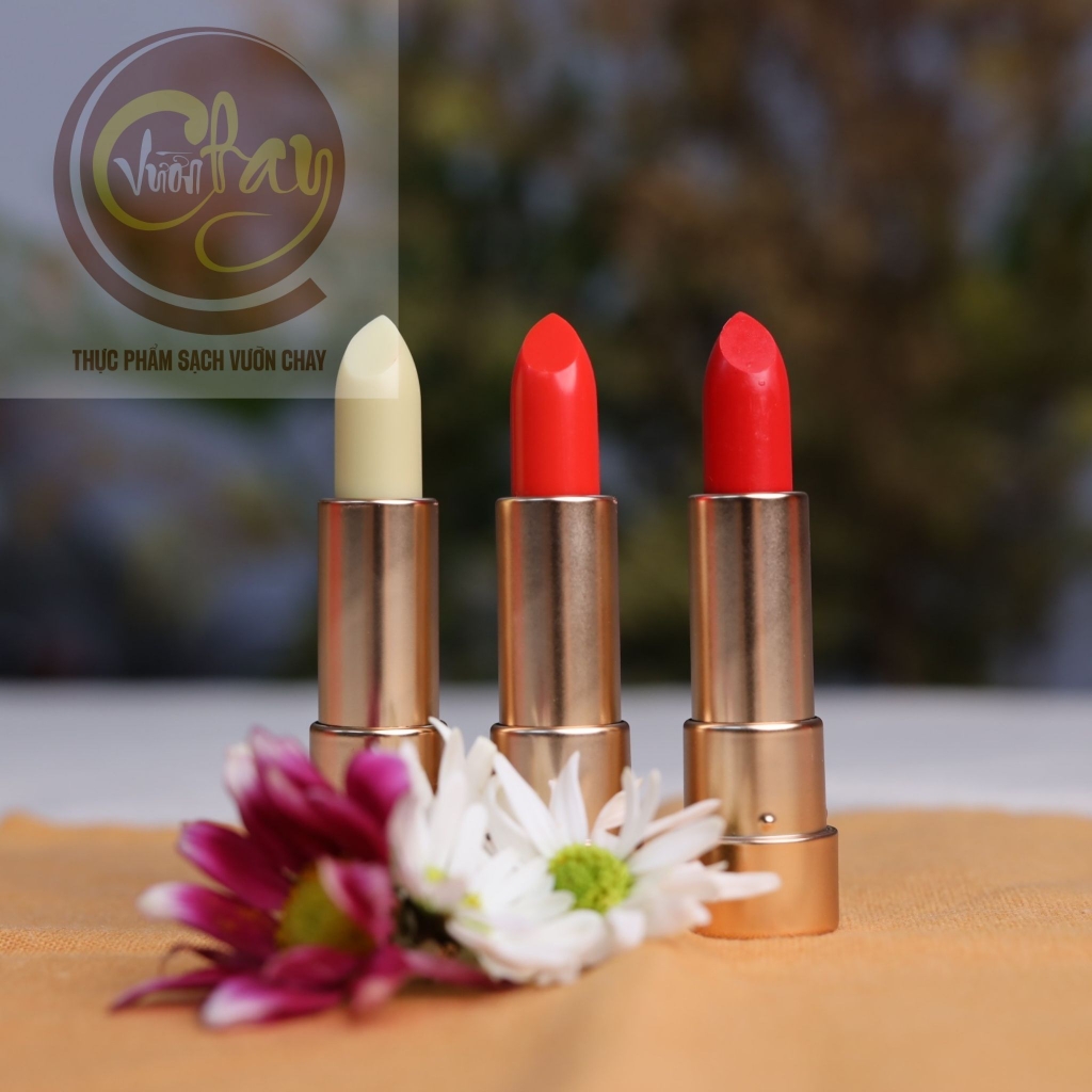 Son dưỡng thảo mộc không mầu không chì