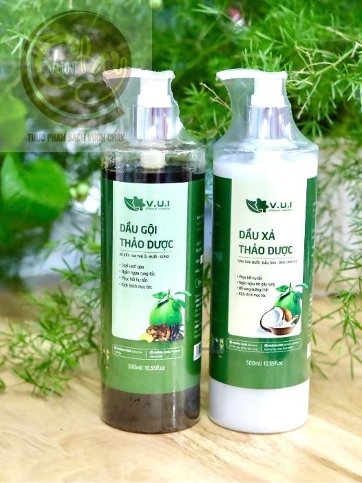 Dầu xả thảo dược V.U.I 500ml