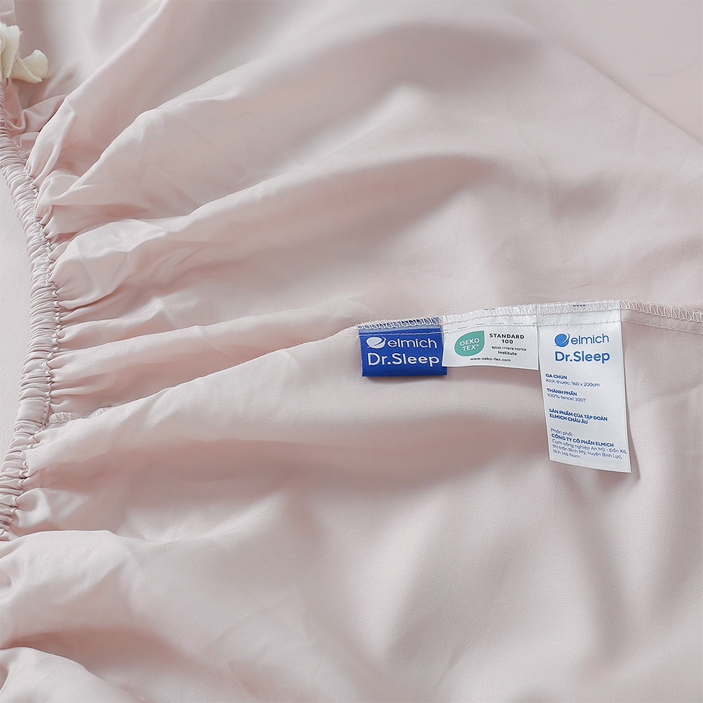 Bộ Ga Gối 100% Tencel 300T ETP04