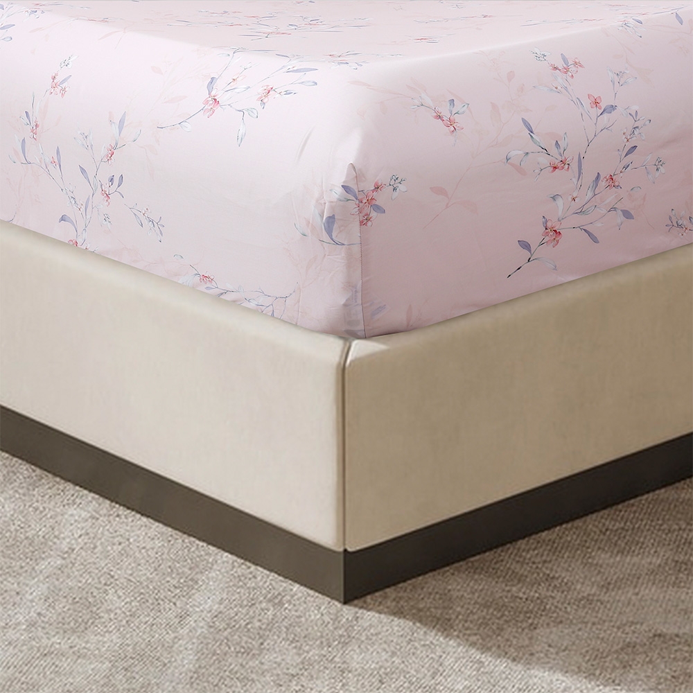 Bộ Ga Gối 100% Tencel 300T ETP07