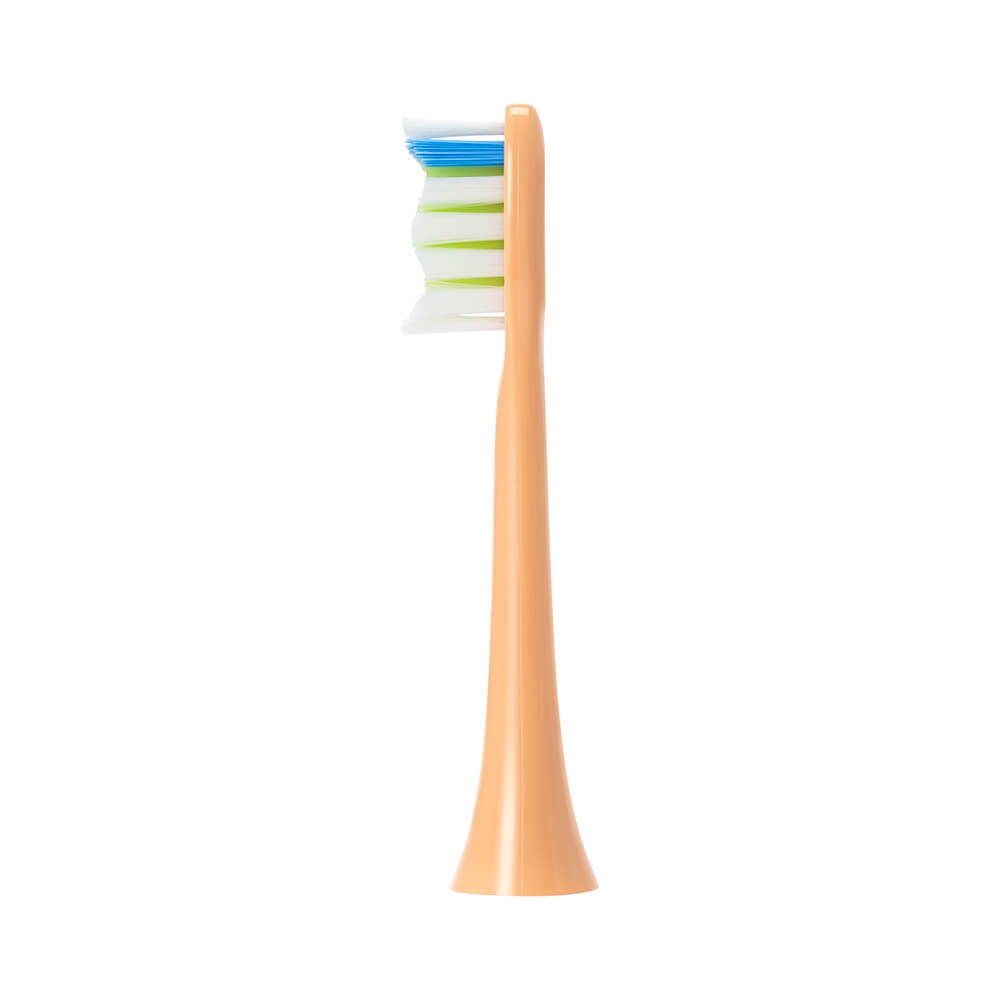 Bộ 3 đầu bản chải để thay thế, dùng cho các bản chải điện 4028460PF
