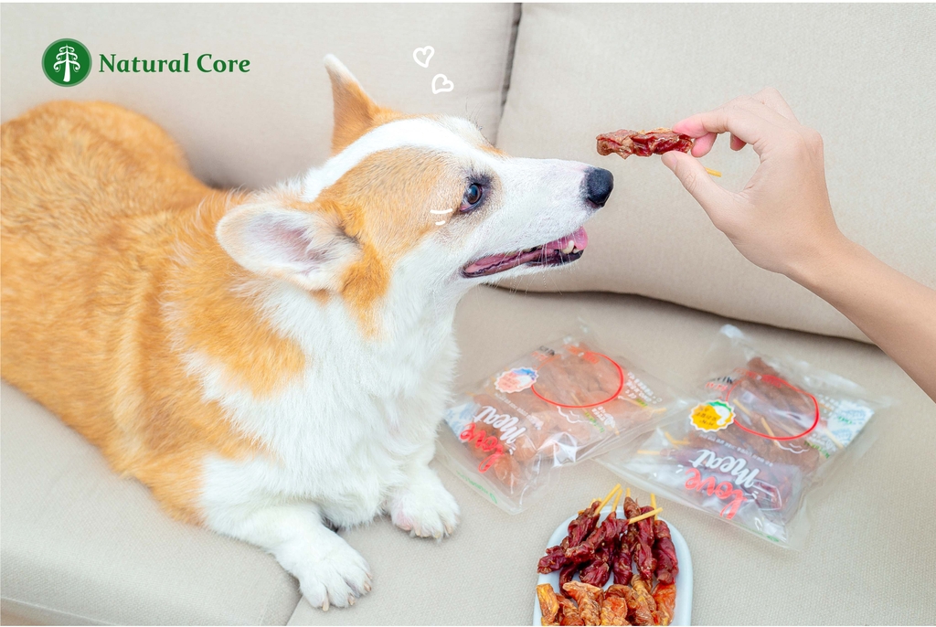 Thực phẩm hữu cơ là gì? Tại sao nên cho thú cưng ăn thực phẩm hữu cơ?