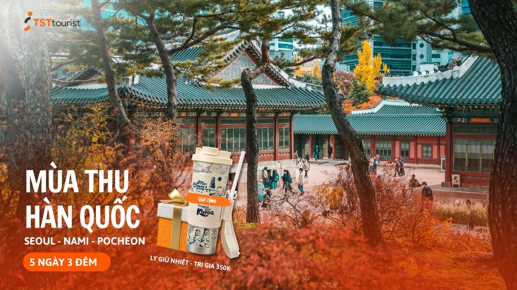 THU HÀN QUỐC: SEOUL - NAMI - POCHEON