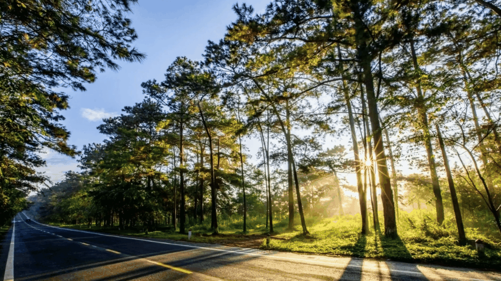 KHÁM PHÁ ĐẠI NGÀN TÂY NGUYÊN: BUÔN MA THUỘT - PLEIKU - KONTUM