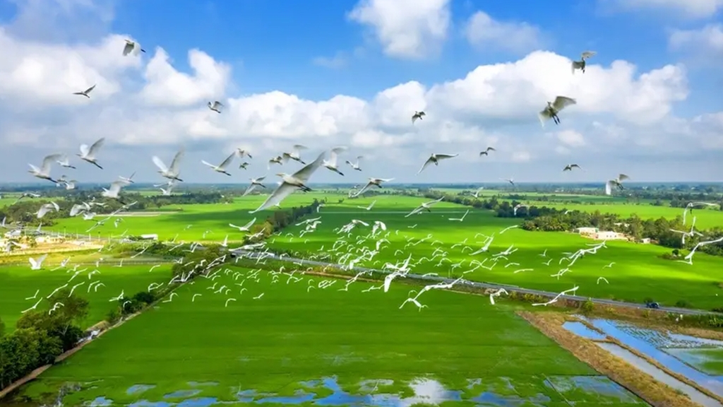 HÀNH TRÌNH KHÁM PHÁ: ĐỒNG THÁP - AN GIANG - HÀ TIÊN - CẦN THƠ