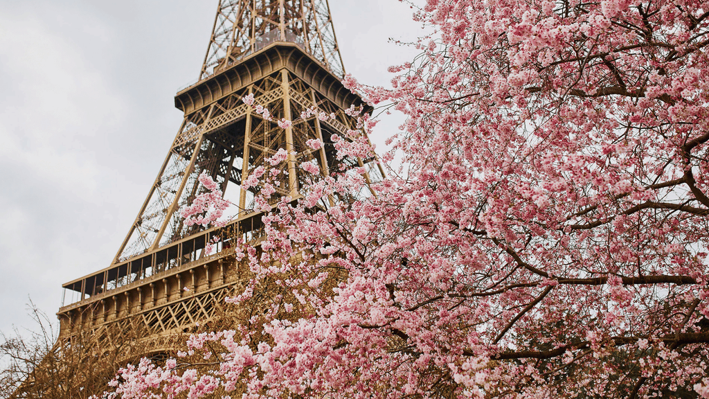 MÙA ANH ĐÀO TRỜI ÂU: PHÁP - THỤY SĨ - Ý