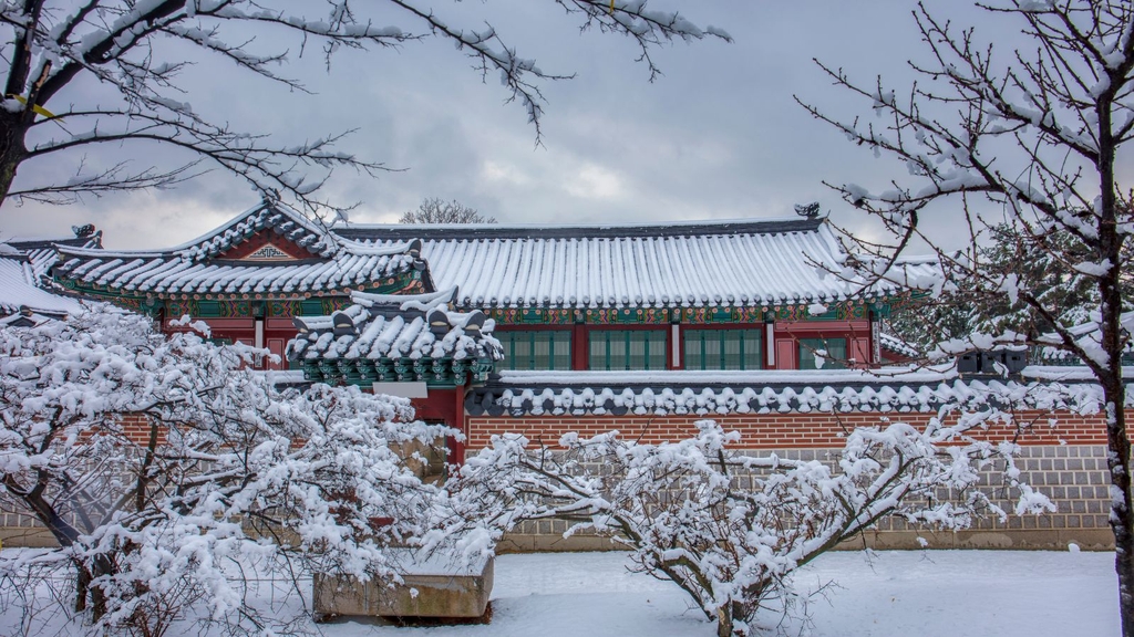 KHÁM PHÁ HÀN QUỐC MÙNG 2 TẾT (5N4D): SEOUL - POCHEON - NAMI