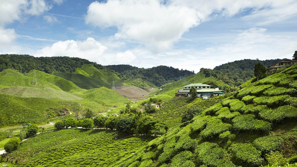 KHÁM PHÁ MALAYSIA - KUALA LUMPUR – MALACCA – CAMERON HIGHLANDS