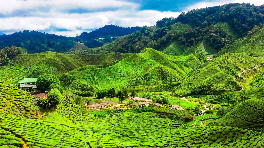 SẮC MÀU MALAYSIA - KUALA LUMPUR - MALACCA - CAMERON HIGHLANDS