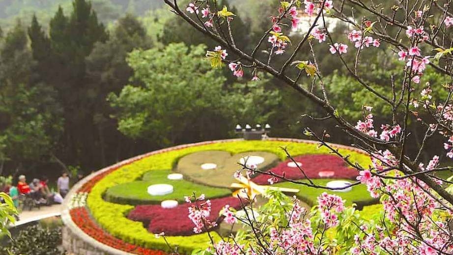 XUẤT HÀNH ĐẦU NĂM: ĐÀI LOAN