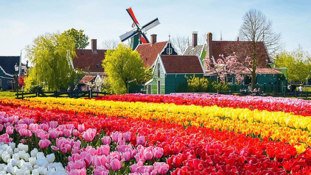 SẮC XUÂN TRỜI ÂU: PHÁP - BỈ - HÀ LAN - ĐỨC