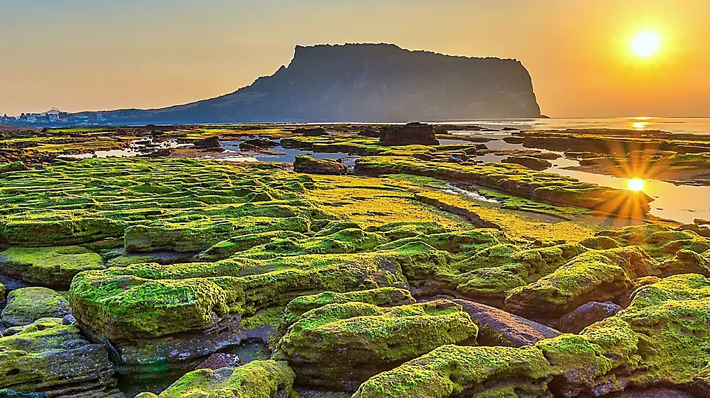 MỘT HÀNH TRÌNH, TRỌN TRẢI NGHIỆM HÀN QUỐC: SEOUL CHILL - JEJU HEAL