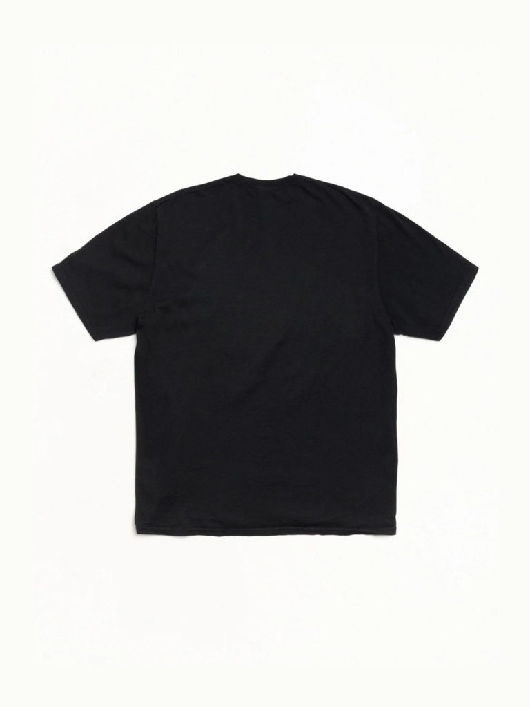 Stussy x BAPE Ape Head Tee