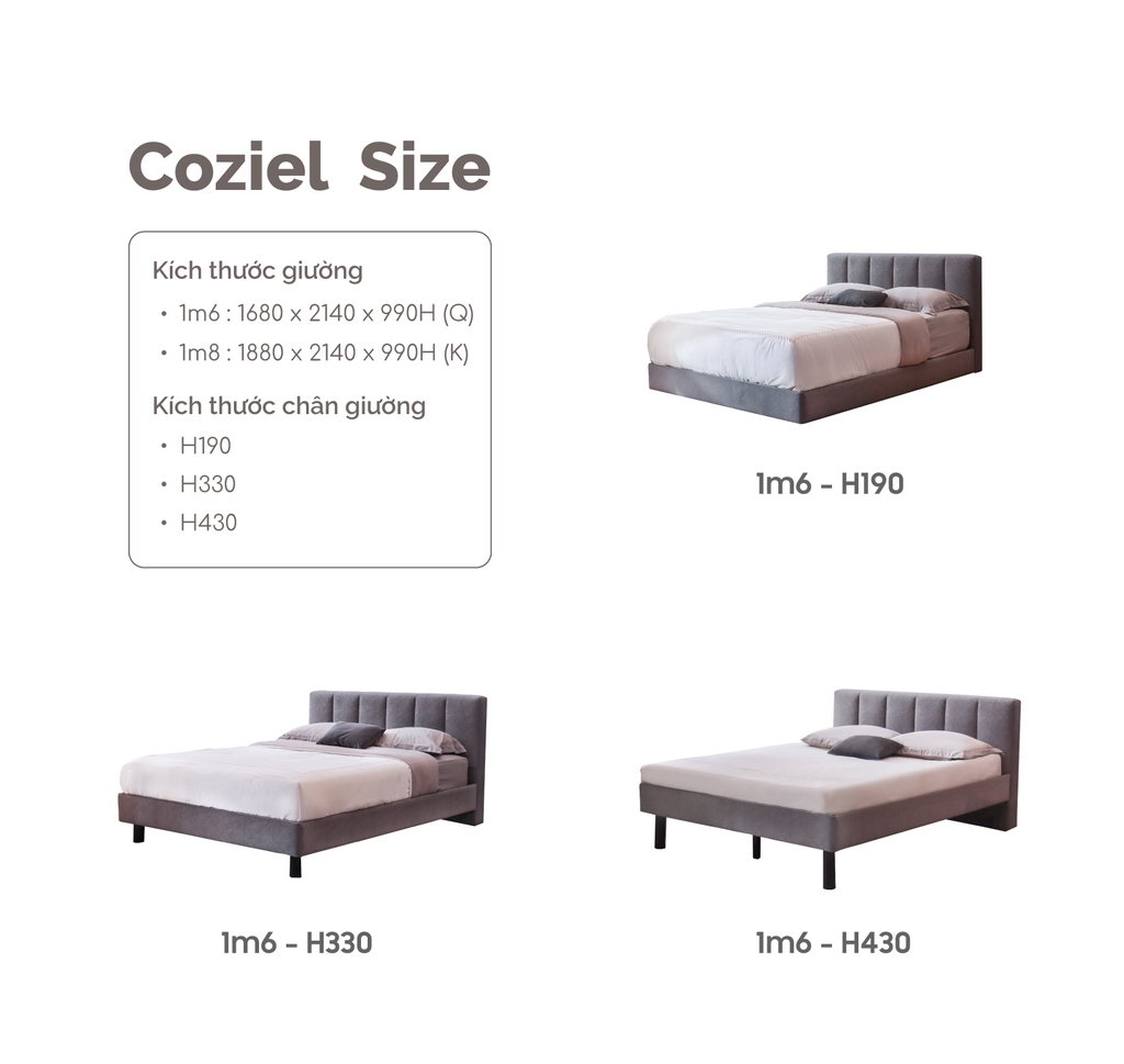 GIƯỜNG VẢI COZIEL