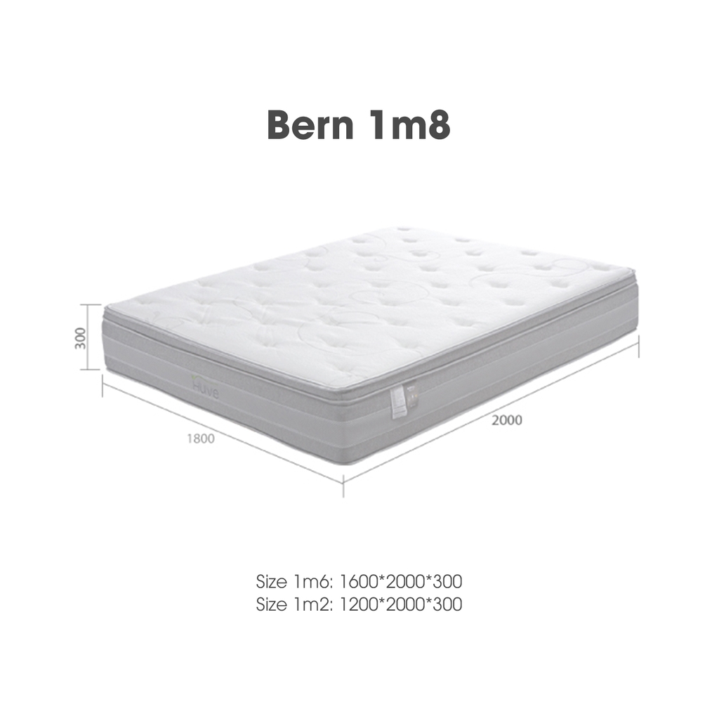 NỆM BERN