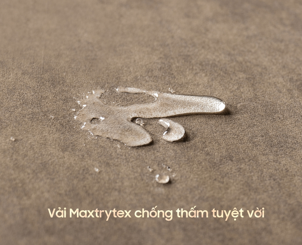 GHẾ ĐÔN VẢI REINA