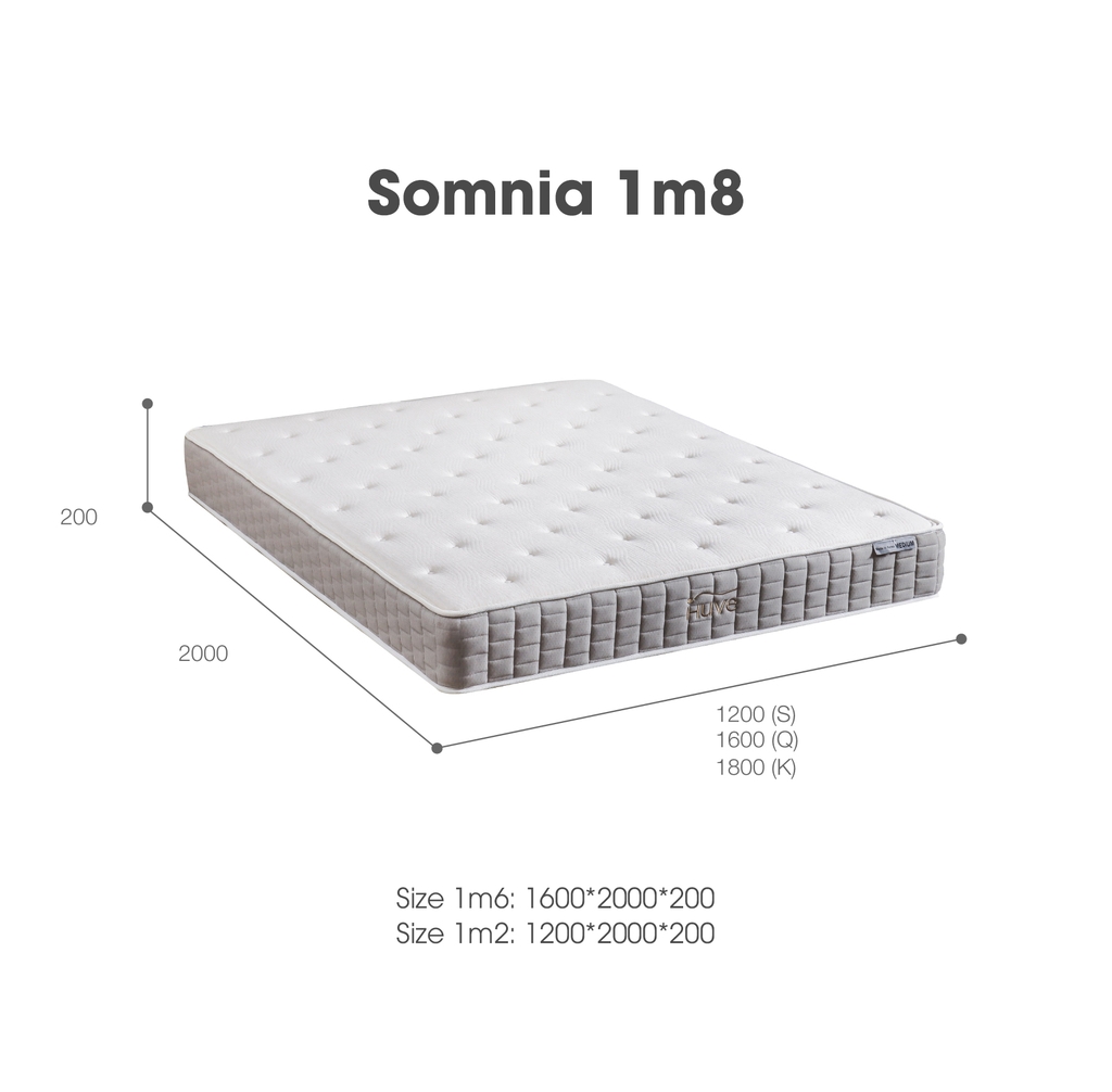 NỆM SOMNIA