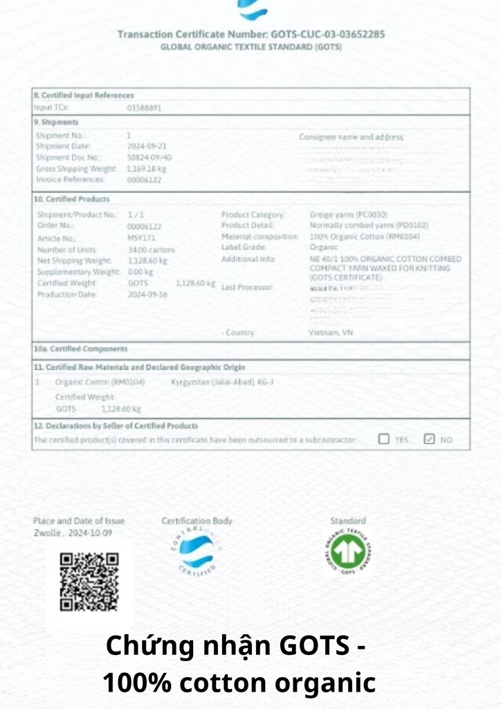 ĐAI QUẤN BỤNG COTTON ORGANIC PLANTA