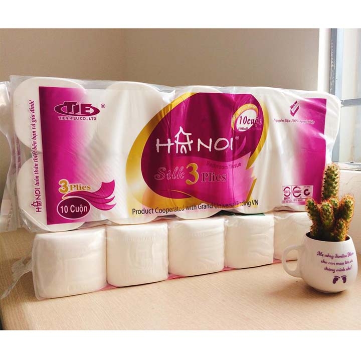 Giấy V/S Hà Nội 3 lớp Tím - có lõi (10 cuộn/dây x 10 dây/thùng)